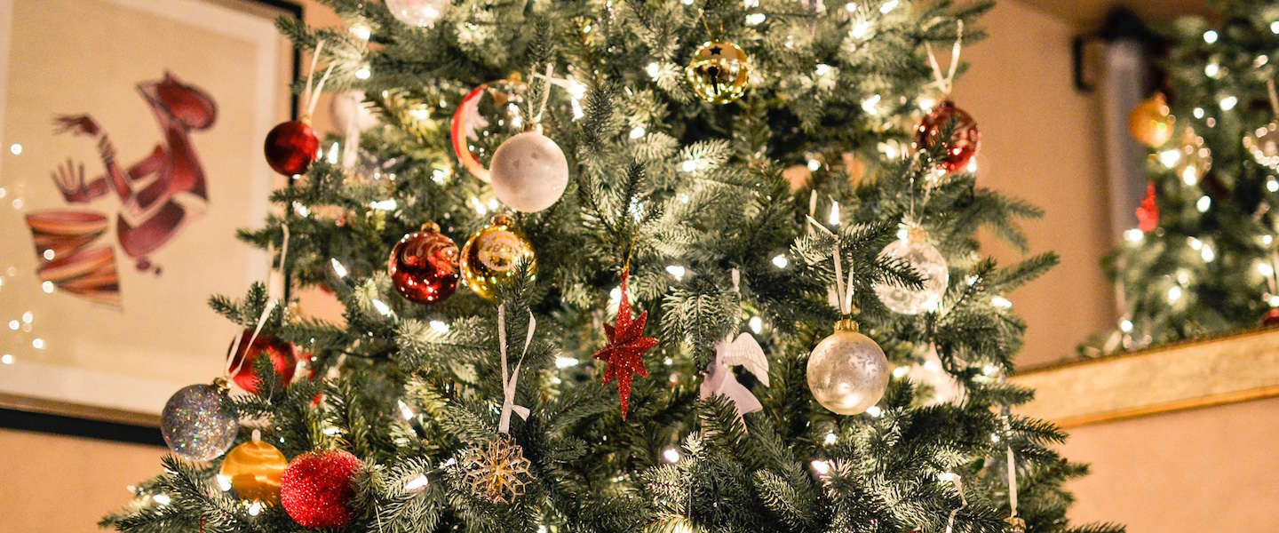 Isaac Lastig kleinhandel Nederland gaat massaal naar IKEA: Nordmann kerstboom voor 1 euro!