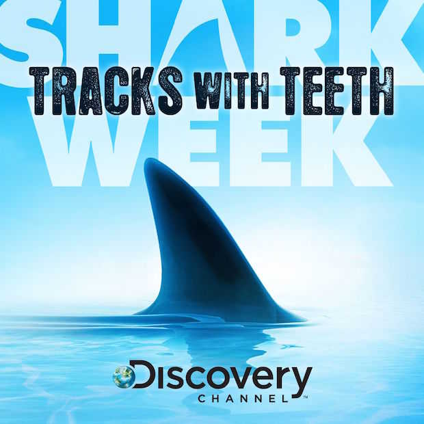 Het is weer Shark Week op Discovery!
