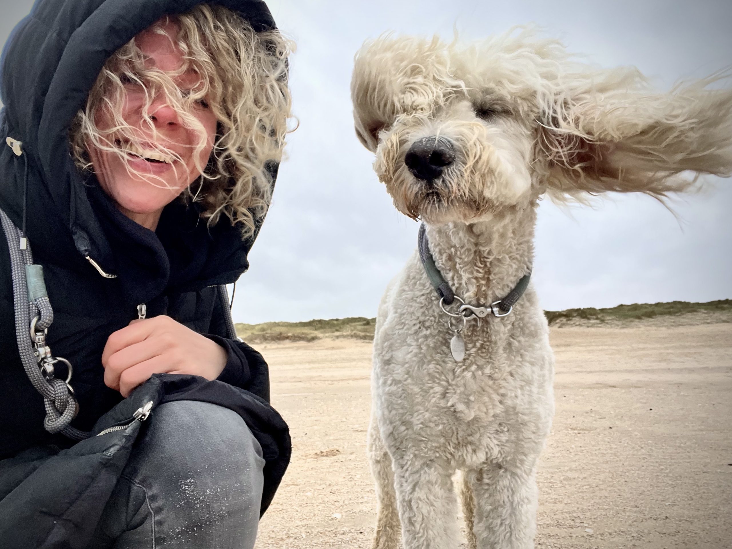 The Comedy Pet Photography Awards 2024 Julia Illig Hamburg Germany Title: Curls in the wind Description: Good looking curly couple having a good time at the windy beach. Animal: woodywoodstock2020 Location of shot: Sylt Island