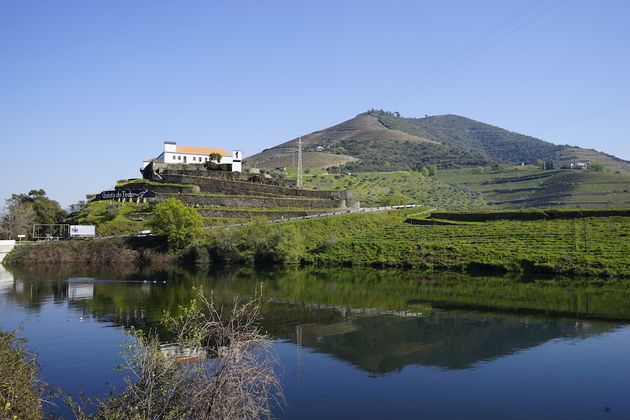 Prachtige natuur in het vroege voorjaar langs de Douro rivier in Portugal