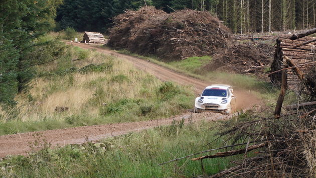 WRC rijden blijft machtig om te ervaren